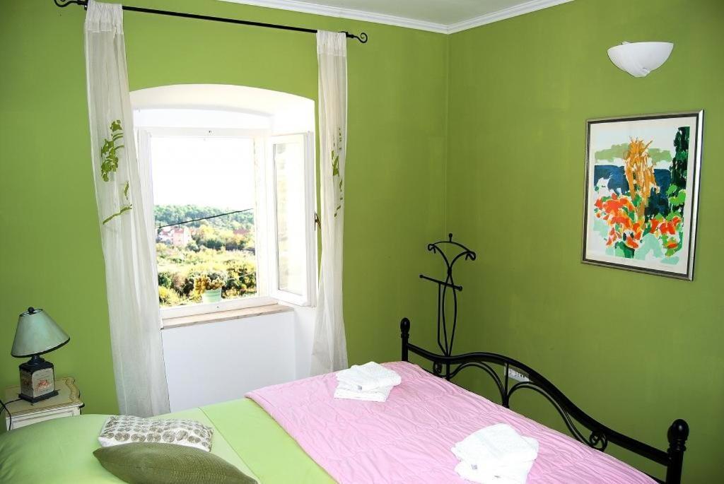 Villa Tony Orašac Kültér fotó