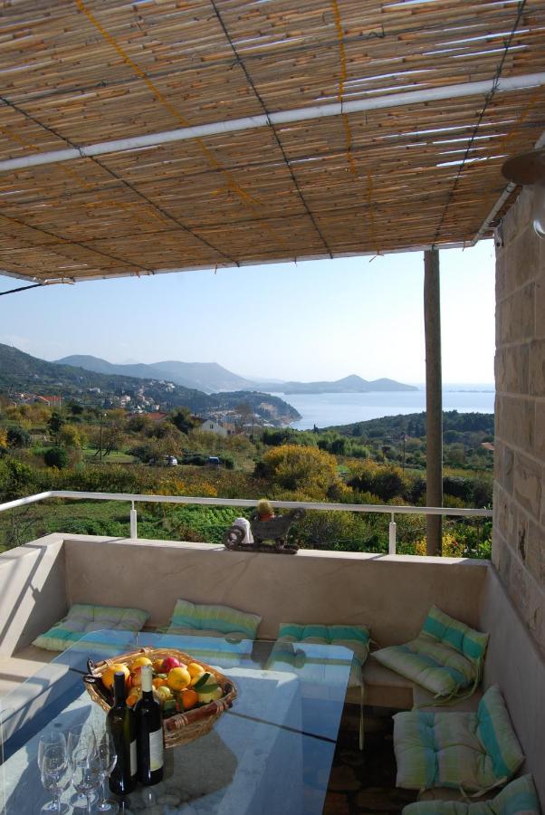 Villa Tony Orašac Kültér fotó